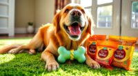 top dental treats for dogs