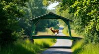 green deer crossings reduce accidents