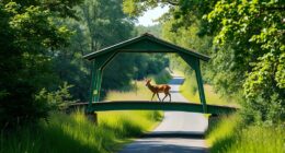 green deer crossings reduce accidents
