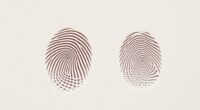 hamster earprint forensic identification