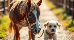 mini horse guides blind dog