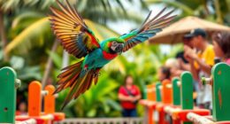 parrot recall race competition