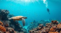 effectiveness of marine protections