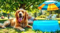 keep pets cool and hydrated
