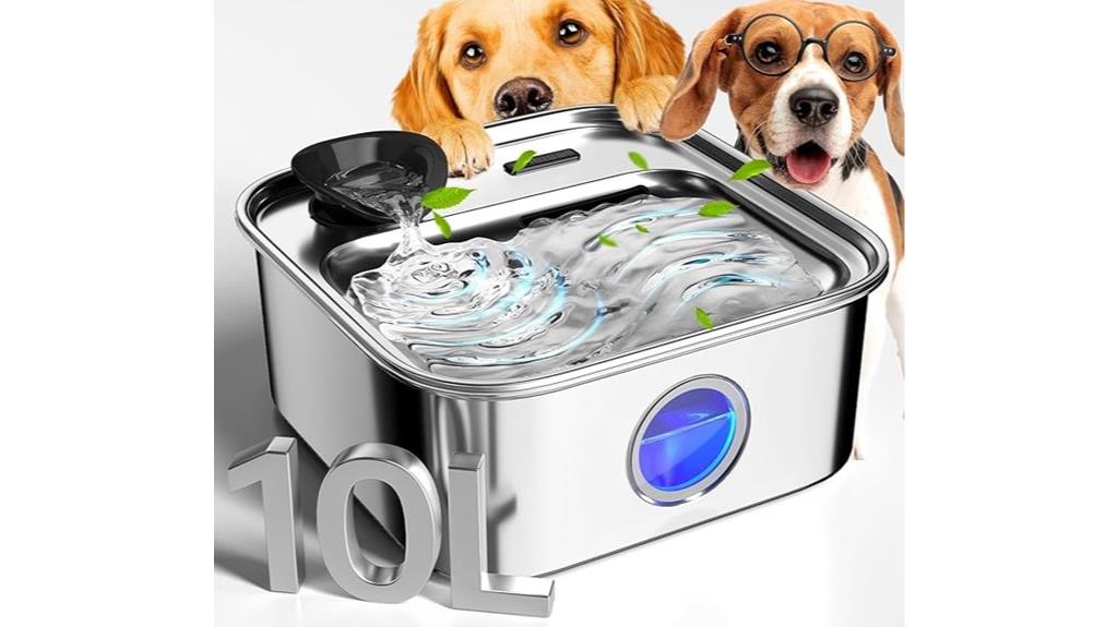 large filtered dog fountain