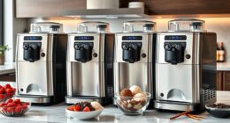 luxury home ice cream makers