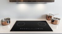 luxury sleek cooktop ventilation