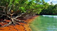 mangroves safeguard coastlines biodiversity