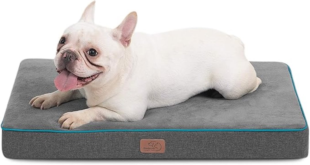 memory foam dog bed