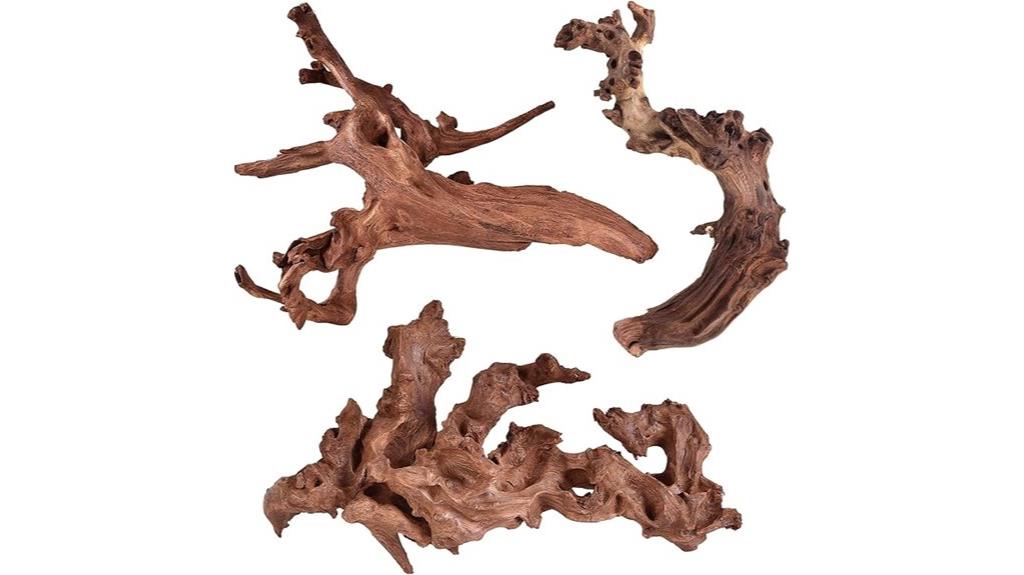 natural coral driftwood decor