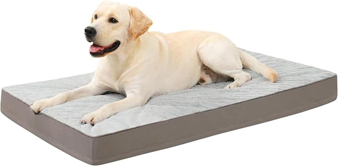 orthopedic waterproof dog bed