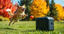 top automatic dog toy