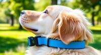 top gps dog collars