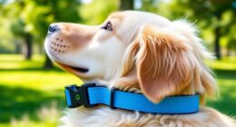 top gps dog collars