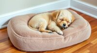 top orthopedic dog pillows