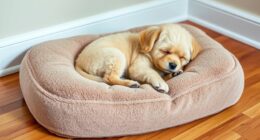 top orthopedic dog pillows
