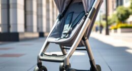 top travel stroller options