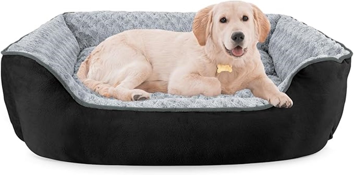 versatile rectangle dog bed