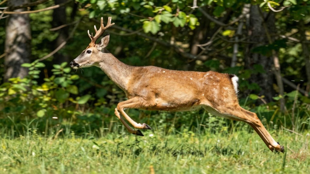 adjust shutter speed for clarity