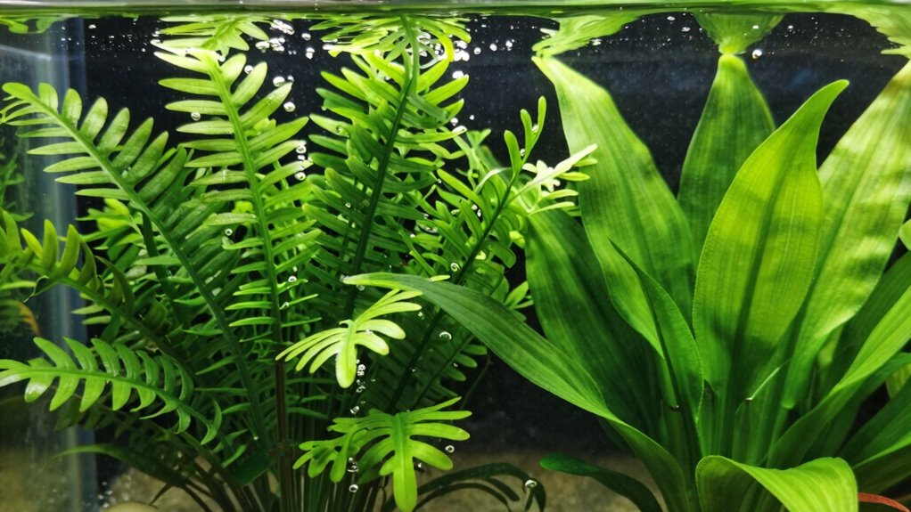 artificial plants require regular cleaning