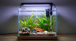 cycling error kills fish