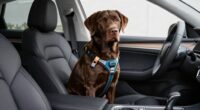 dog harness crash safety