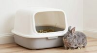 easy rabbit litter training