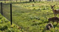 electric fencing for wildlife