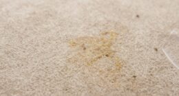 hidden layer retains stains