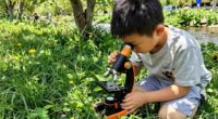 kids outdoor microscope options
