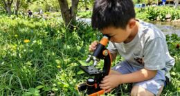 kids outdoor microscope options