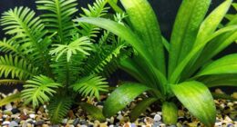 live versus artificial benefits