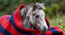 overheating risks in blankets