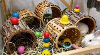 rabbit tunnels and toys