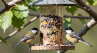 safe wild bird feed options