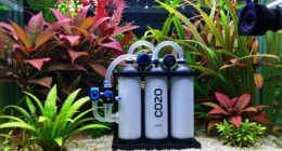 top co2 aquarium kits
