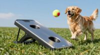 top dog ball launchers