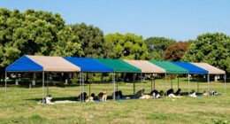 top heavy duty pet shade