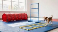 top indoor agility course sets