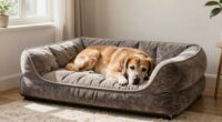 top large senior dog beds