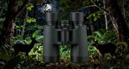 top night vision binoculars