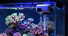 top off systems for reef tanks