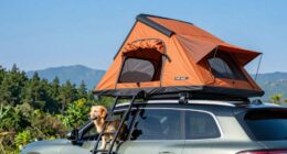 top pet friendly rooftop tents