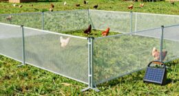 top poultry fence kits