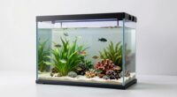 top rimless aquarium options
