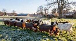 top small farm water heaters