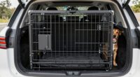 top suv dog crate safety