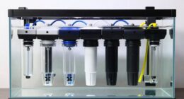 top turtle tank filtration