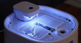 uv benefits and limitations