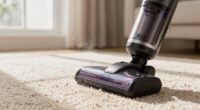 vacuuming pet dander